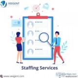 Professional staffing services in pune - veegent technologies