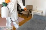 Professional Pest Control Inspection
