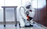 Mice Control Services in Maple - BBPP Control