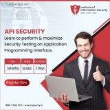 API security certification | API security course - IIsecurity