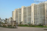 DLF The Magnolias  4 BHK Apartment for Sale in DLF The Magnolias