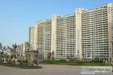 4 BHK Apartment for Rent in DLF The Magnolias  Apartment for Ren