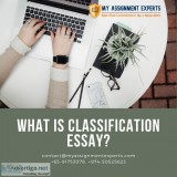 Classification Essay Help  classification essay sample writing
