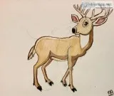Original Female Deer Art By GG &ndash 9&rdquo x 12&rdquo Colored