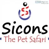 Best Pet Shop in Delhi