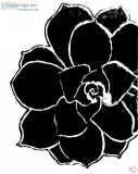 Black and White Succulent GG &ndash 8&rdquo x 11&rdquo Art Ink