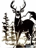 10 Point Buck In Field &ndash 9&Prime x 12&Prime Colored Pencil 