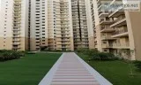 Ready to move 2 BHK Flat in Noida Extension
