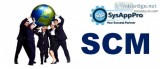 Online SAP SCM Certification Training Course