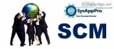 Online SAP SCM Certification Training Course