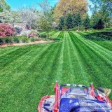 Grass cutter in williamsburg, va