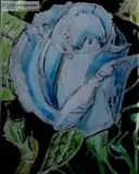 Deep Blue Teal Rose GG &ndash 11&rdquo x 14&rdquo Colored Pencil