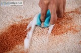 Carpet cleaning burwood
