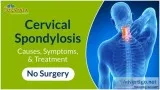 Ayurvedic treatment for cervical spondylosis problem in delhi
