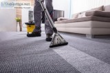 Need you Carpet Cleaning Services in Etobicoke