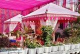 Luxury Wedding Tent