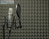Japanese Voice Over Service and Japanese Translation Service