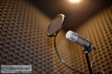 Chinese Voice Over Service  Chinese Translation Service
