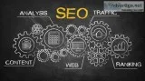 SEO Expert in Noida