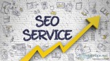 SEO Expert in Noida