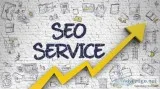 SEO Expert in Noida