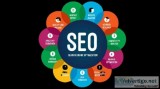 Which Is Best website promotion company in delhi