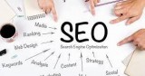 Best SEO Service Provider Company In Noida India