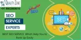 SEO Service Provider Company In Noida