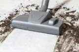 Carpet cleaning mitchell