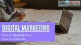 Best Digital Marketing Company in Delhi