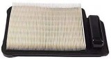 NEW - Kohler PAW - 0560 Air Filter