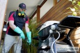 Recommended Pest Control Melbourne  Thelocalguyspestcont rol.com