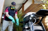 Termite Inspection Sydney  Thelocalguyspestcont rol.com.au