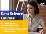 Data Science Courses