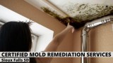 Certified Mold Remediation Services in Sioux Falls SD