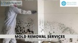 How Does Mold Removal Services For Sioux Falls