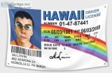 MCLOVIN Flag