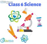 Class 6 Science