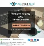 Hire Website Development Expert in Delhi To Get Attractive Websi