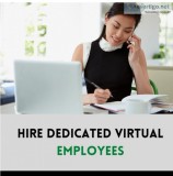 Hire offshore virtual employees & save upto 70%