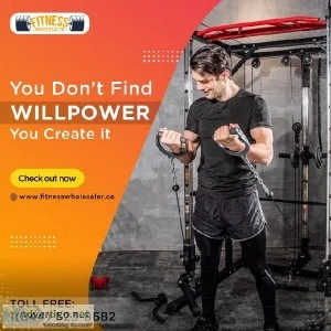 Best Bench For Workout In Canada  Fitness Wholesaler