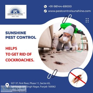 Best Pest Control For Cockroaches  How Pest Control Gets Rid of 