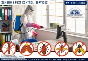 Best Termite(Demak) Treatment in Mohali