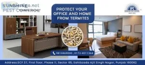 Best Treatment For Rats and Bed-bugs  Best Pest Treatment in Moh