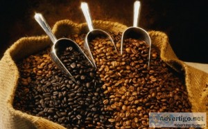Best coffee roasters melbourne