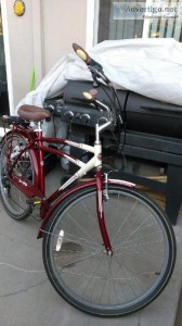 29" Schwinn low glide