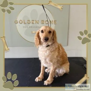 Call Dog groomers in East Yorkshire