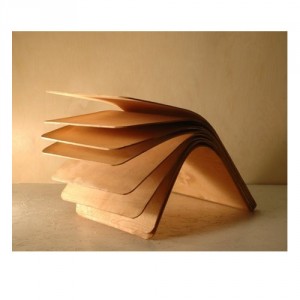 Plywood manufactures in india