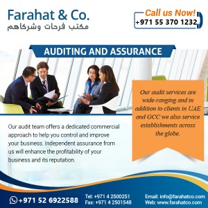 Looking for audit services in dubai call us 042500251