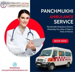 Ventilator Ambulance Services in Dilshad Garden by Panchmukhi